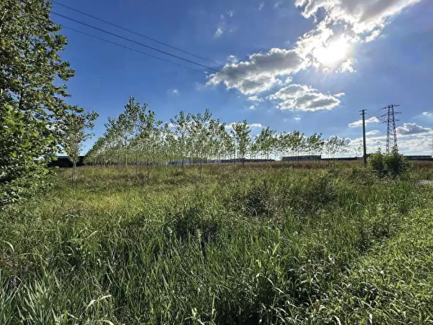Immagine 5 di Terreno agricolo in vendita  in Strada Provinciale  a Mogliano Veneto