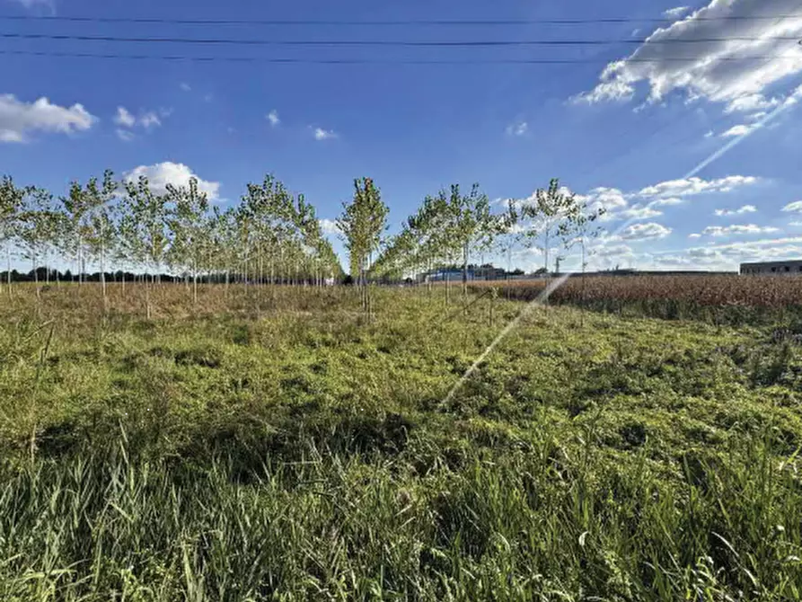 Immagine 6 di Terreno agricolo in vendita  in Strada Provinciale  a Mogliano Veneto