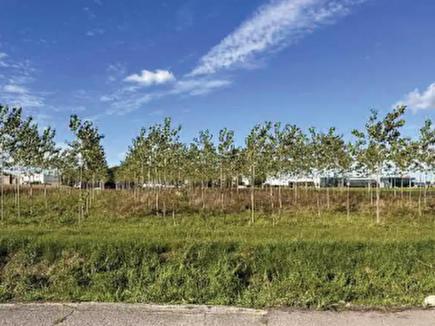 Immagine 11 di Terreno agricolo in vendita  in Strada Provinciale  a Mogliano Veneto