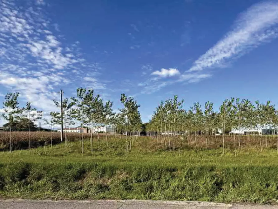 Immagine 12 di Terreno agricolo in vendita  in Strada Provinciale  a Mogliano Veneto
