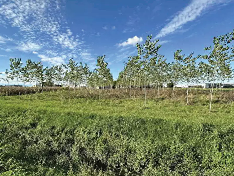 Immagine 14 di Terreno agricolo in vendita  in Strada Provinciale  a Mogliano Veneto