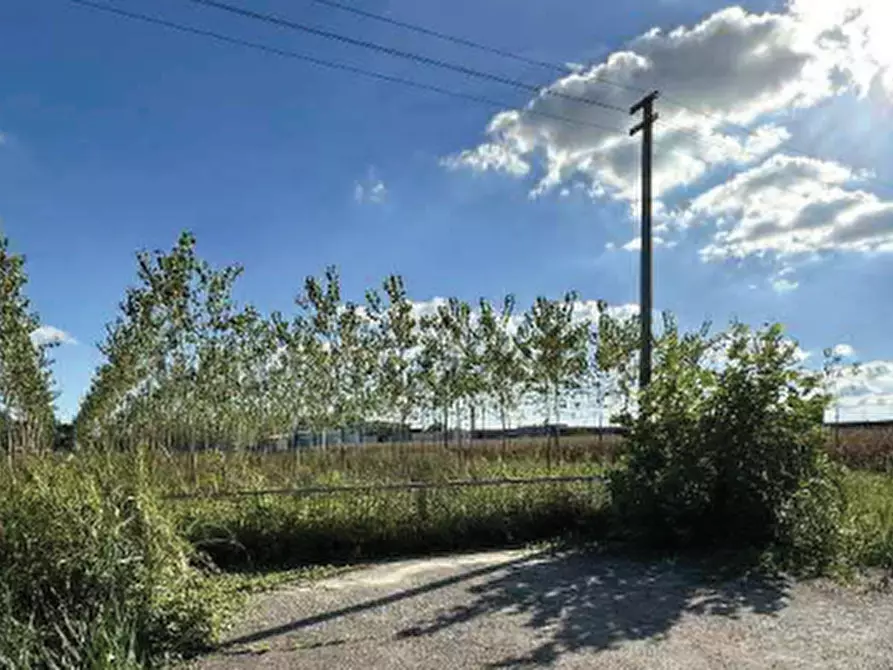 Immagine 15 di Terreno agricolo in vendita  in Strada Provinciale  a Mogliano Veneto