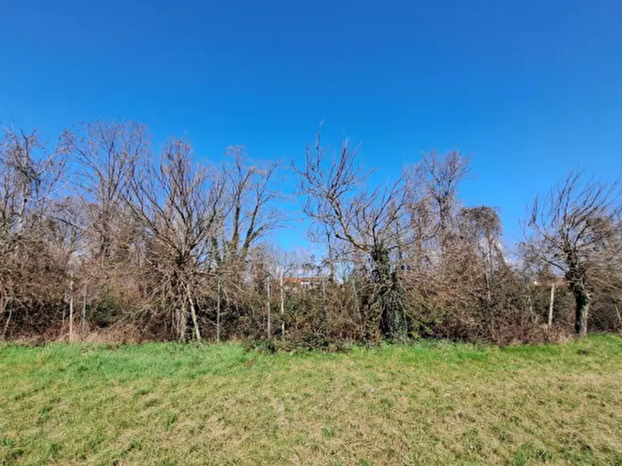 Immagine 2 di Terreno edificabile in vendita  in Via Don A.Cicuto a Arba