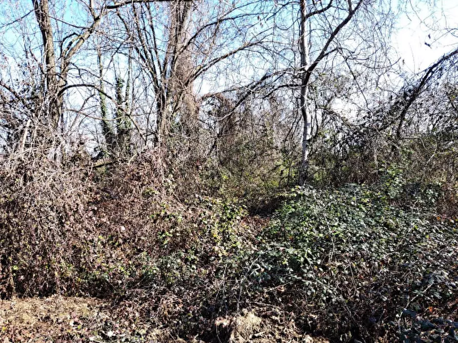 Immagine 3 di Terreno edificabile in vendita  in Via Don A.Cicuto a Arba