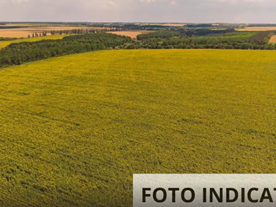 Immagine 14 di Terreno edificabile in vendita  in Via Don A.Cicuto a Arba