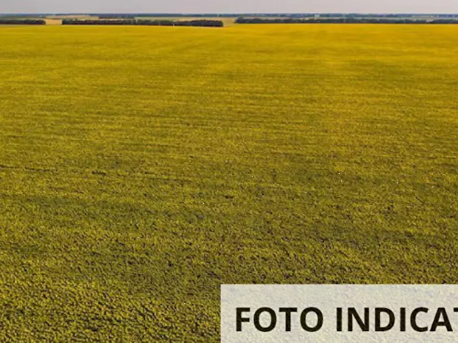 Immagine 15 di Terreno edificabile in vendita  in Via Don A.Cicuto a Arba