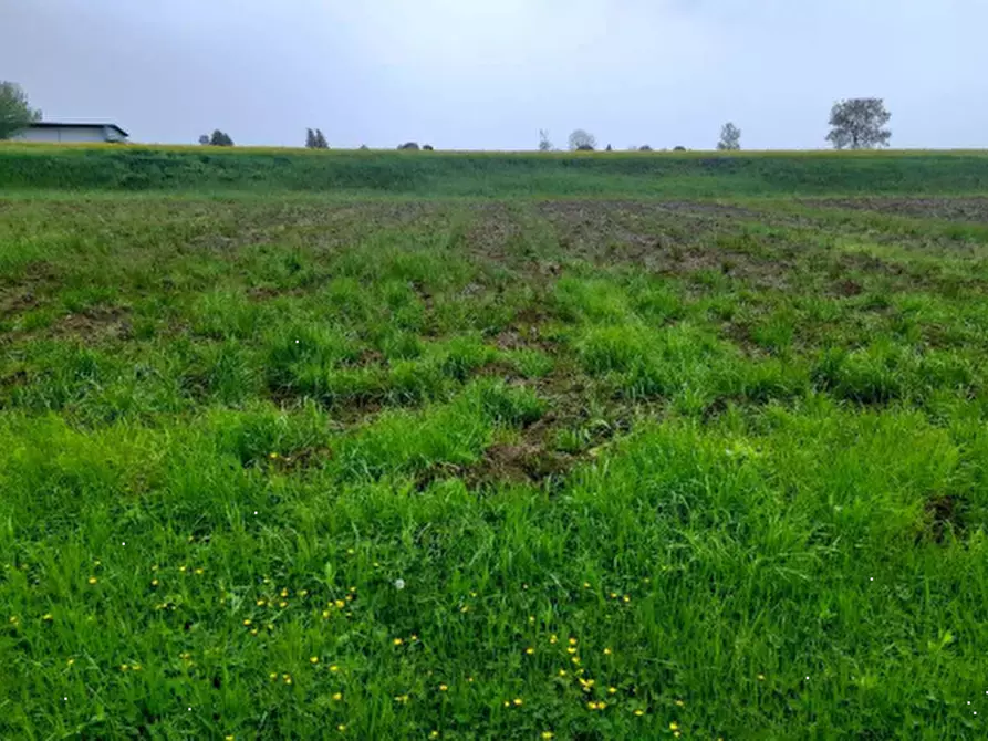 Immagine 12 di Casa indipendente in vendita  in Via Villa Varda di San Cassiano a Brugnera