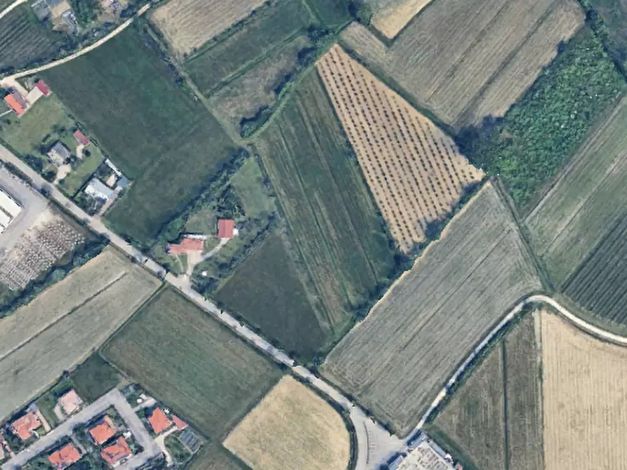Immagine 2 di Terreno agricolo in vendita  in Via Ambrosoni a Pasiano Di Pordenone