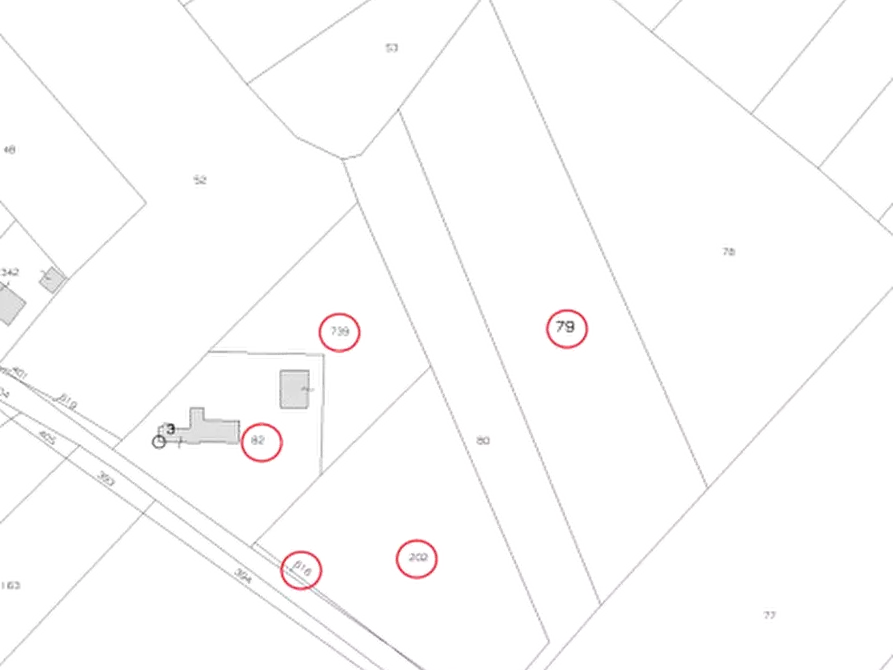 Immagine 5 di Terreno agricolo in vendita  in Via Ambrosoni a Pasiano Di Pordenone