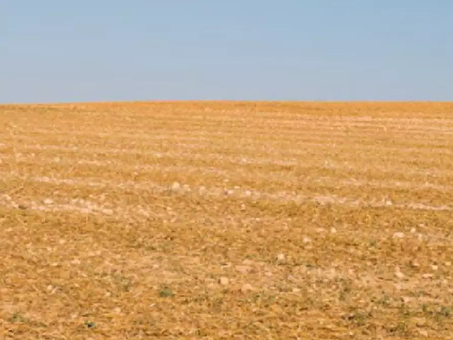 Immagine 6 di Terreno agricolo in vendita  in Via Ambrosoni a Pasiano Di Pordenone