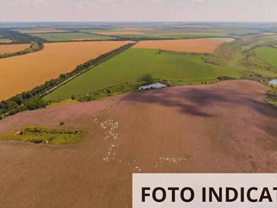 Immagine 7 di Terreno agricolo in vendita  in Via Ambrosoni a Pasiano Di Pordenone