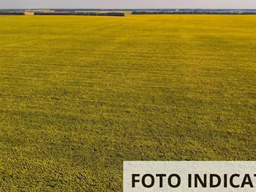 Immagine 9 di Terreno agricolo in vendita  in Via Ambrosoni a Pasiano Di Pordenone