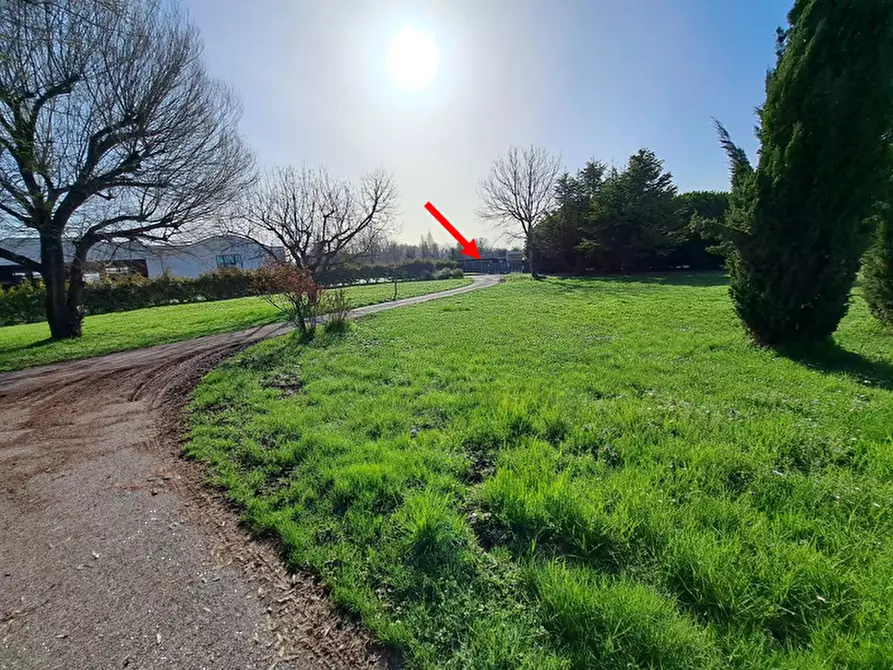 Immagine 6 di Villa in vendita  in Via Pietro Zorutti a San Giorgio Della Richinvelda