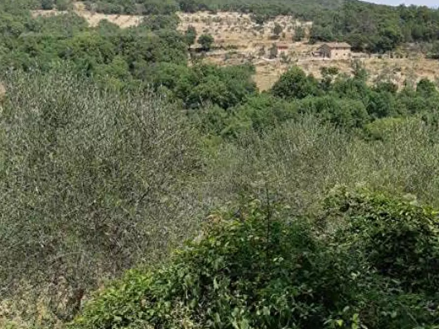 Immagine 1 di Terreno agricolo in vendita  in Sez. Figline Valdarno a Figline Valdarno