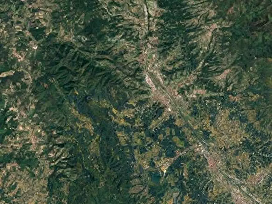 Immagine 4 di Terreno agricolo in vendita  in Sez. Figline Valdarno a Figline Valdarno