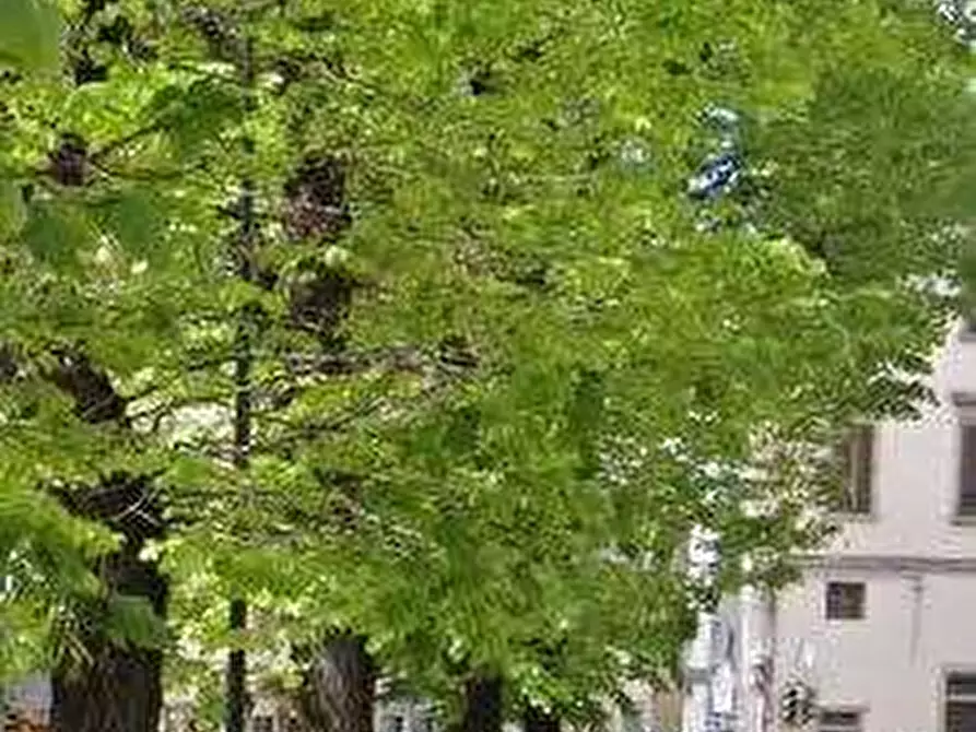 Immagine 5 di Negozio in vendita  in Via Benedetto Marcello a Firenze