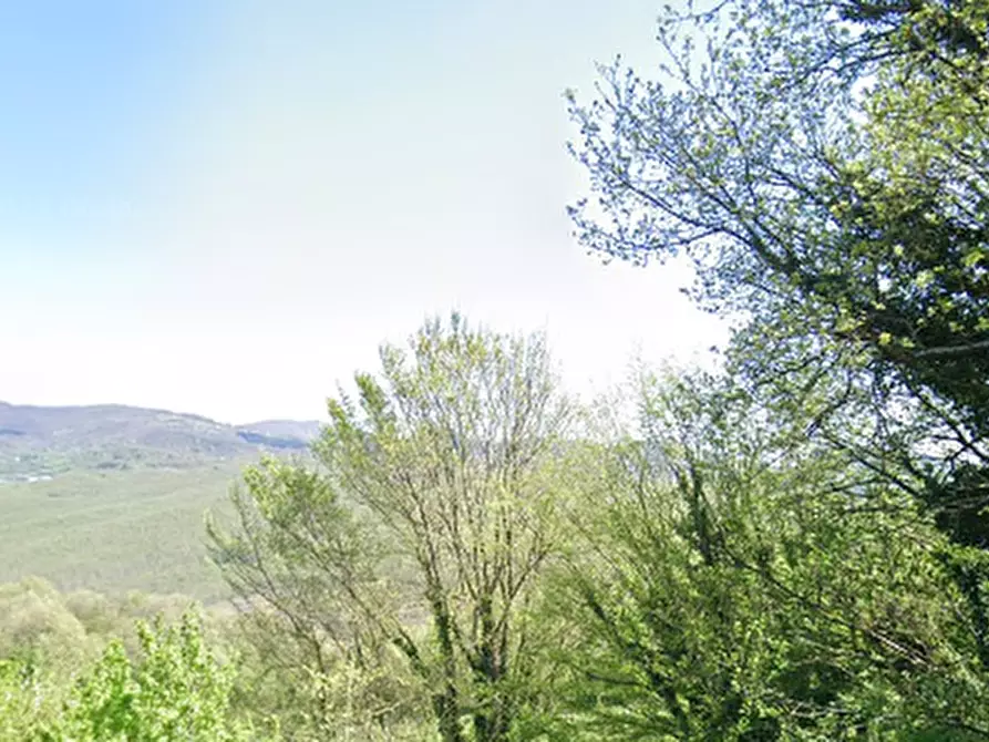 Immagine 4 di Rustico / casale in vendita  a Barberino Di Mugello