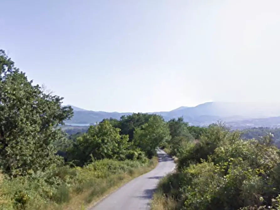 Immagine 3 di Terreno agricolo in vendita  in Via Carniano a Barberino Di Mugello