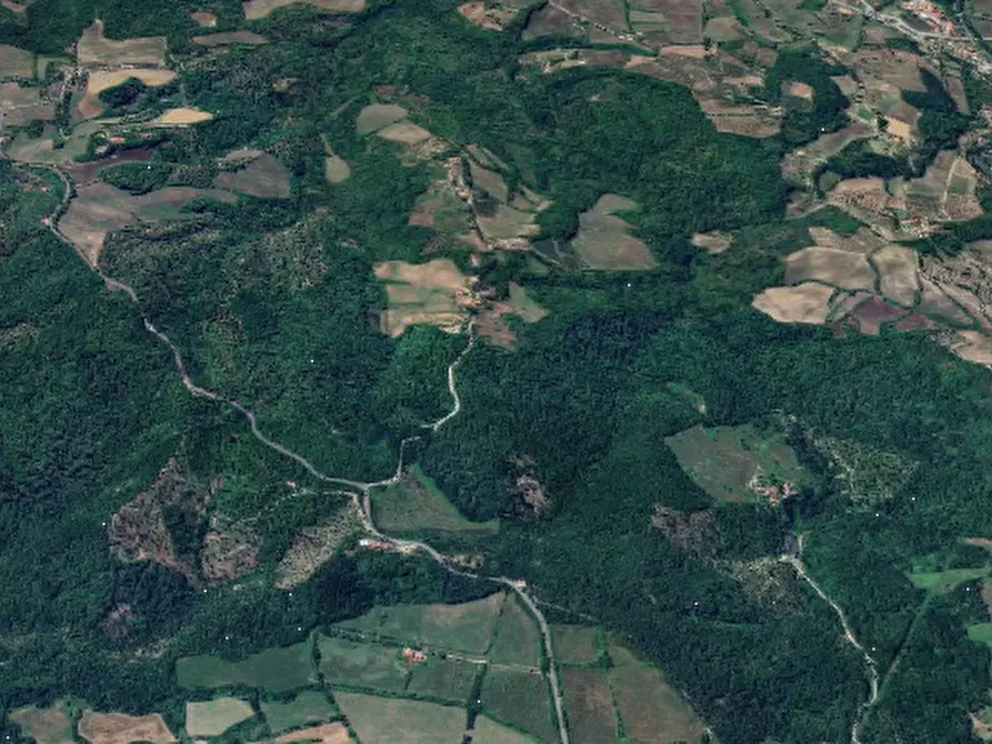 Immagine 4 di Terreno agricolo in vendita  in Via Carniano a Barberino Di Mugello