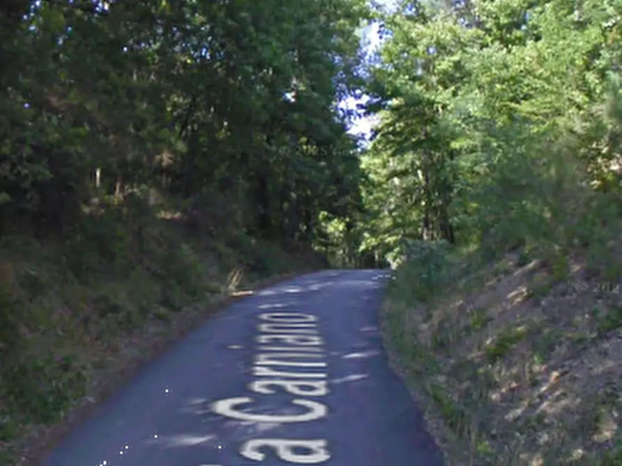 Immagine 2 di Terreno agricolo in vendita  in Via Carniano a Barberino Di Mugello