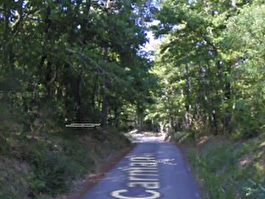 Immagine 9 di Terreno agricolo in vendita  in Via Carniano a Barberino Di Mugello