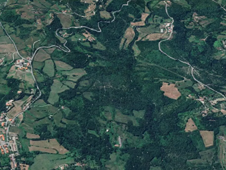 Immagine 7 di Terreno agricolo in vendita  in Località Barberino di Mugello a Barberino Di Mugello