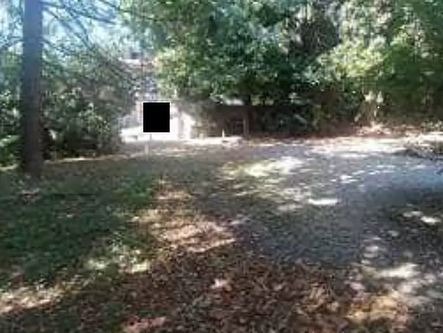 Immagine 3 di Stabile in vendita  in Via Provinciale a Gaiba