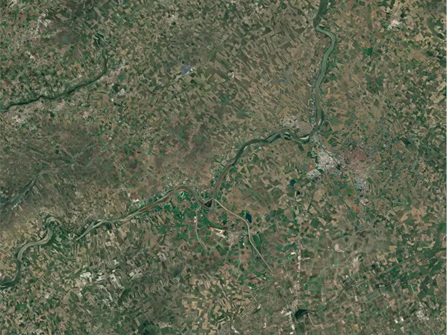 Immagine 15 di Stabile in vendita  in Via Provinciale a Gaiba