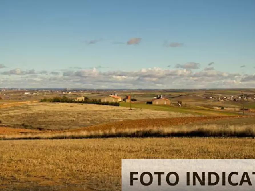 Immagine 7 di Terreno agricolo in vendita  in Località Le Balze a Pistoia