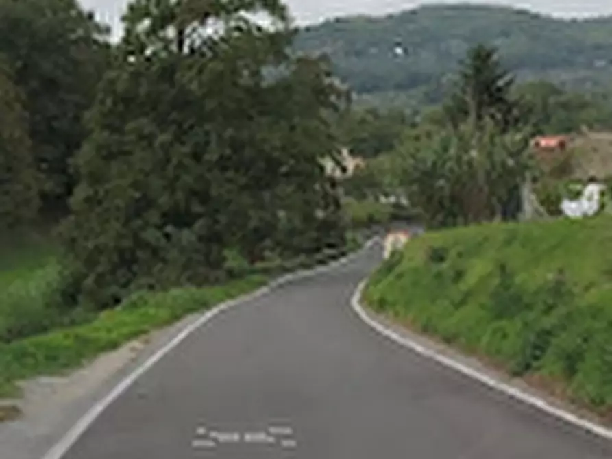 Immagine 11 di Terreno agricolo in vendita  in Località Le Balze a Pistoia