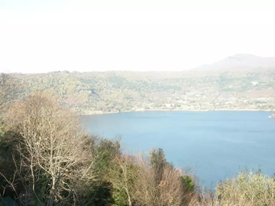 Immagine 1 di Terreno agricolo in vendita  in Strada Vicinale Perino a Nemi