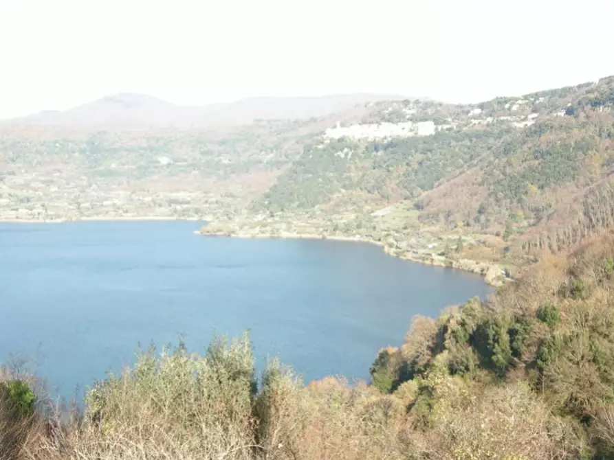Immagine 3 di Terreno agricolo in vendita  in Strada Vicinale Perino a Nemi