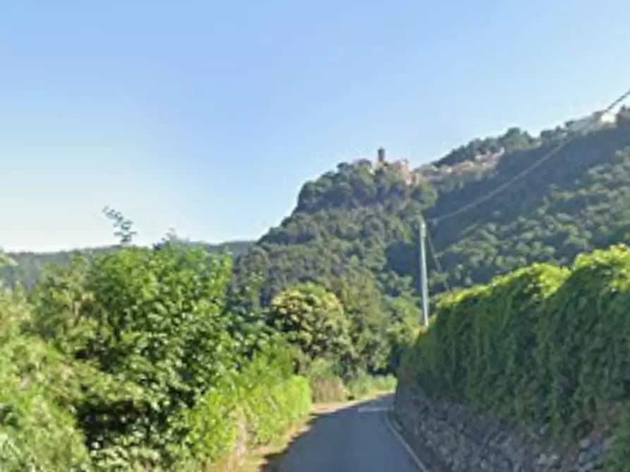 Immagine 5 di Terreno agricolo in vendita  in Strada Vicinale Perino a Nemi