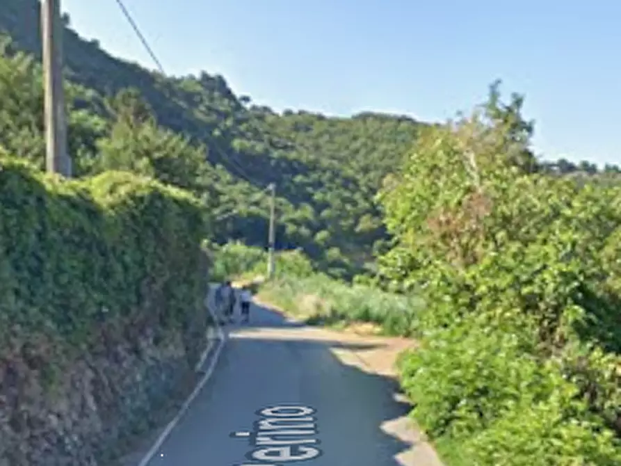 Immagine 6 di Terreno agricolo in vendita  in Strada Vicinale Perino a Nemi