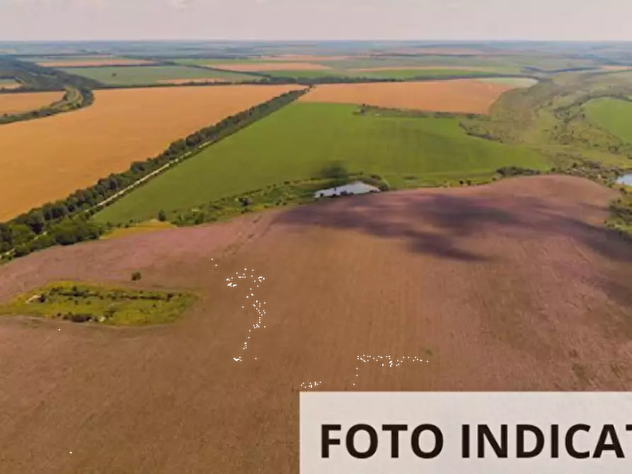 Immagine 5 di Terreno agricolo in vendita  in Località Prato al Prune a Pistoia