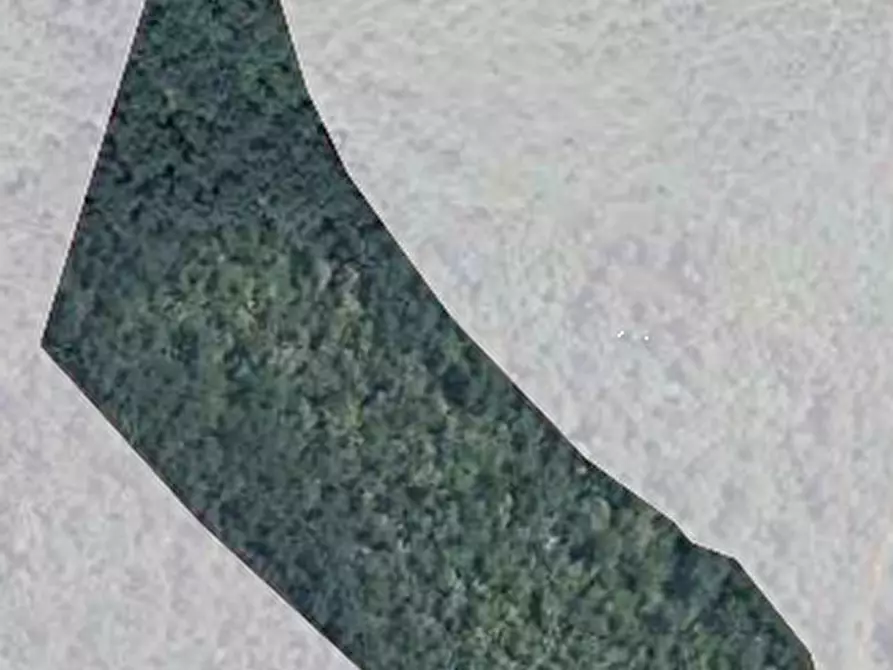 Immagine 1 di Terreno agricolo in vendita  in Sez. Figline Valdarno a Figline Valdarno