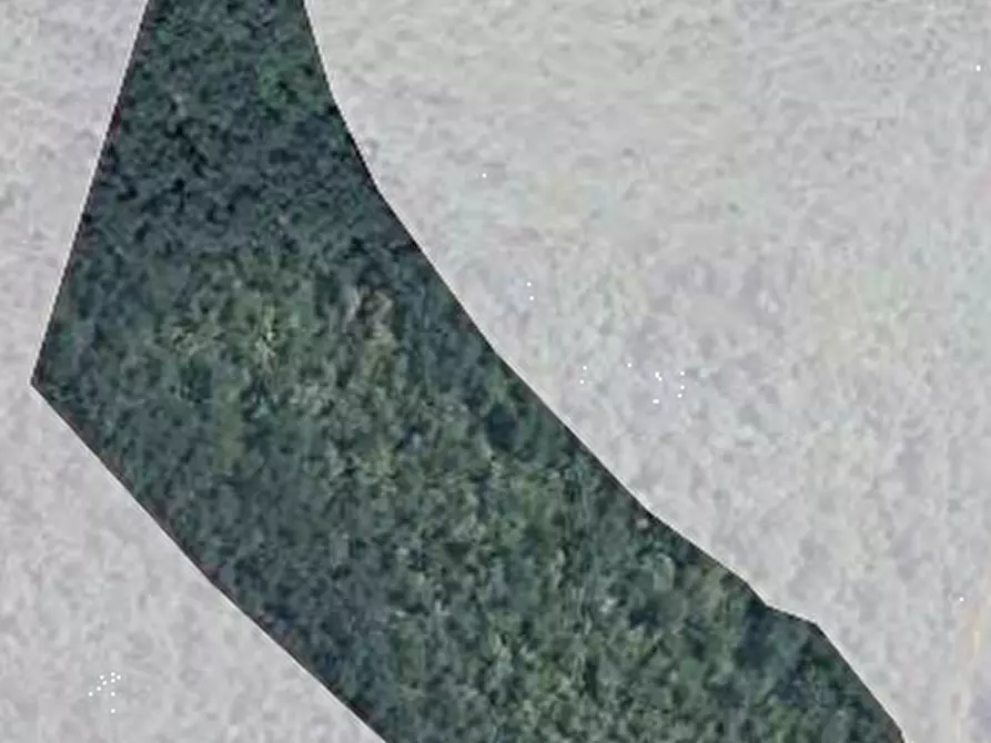 Immagine 2 di Terreno agricolo in vendita  in Sez. Figline Valdarno a Figline Valdarno