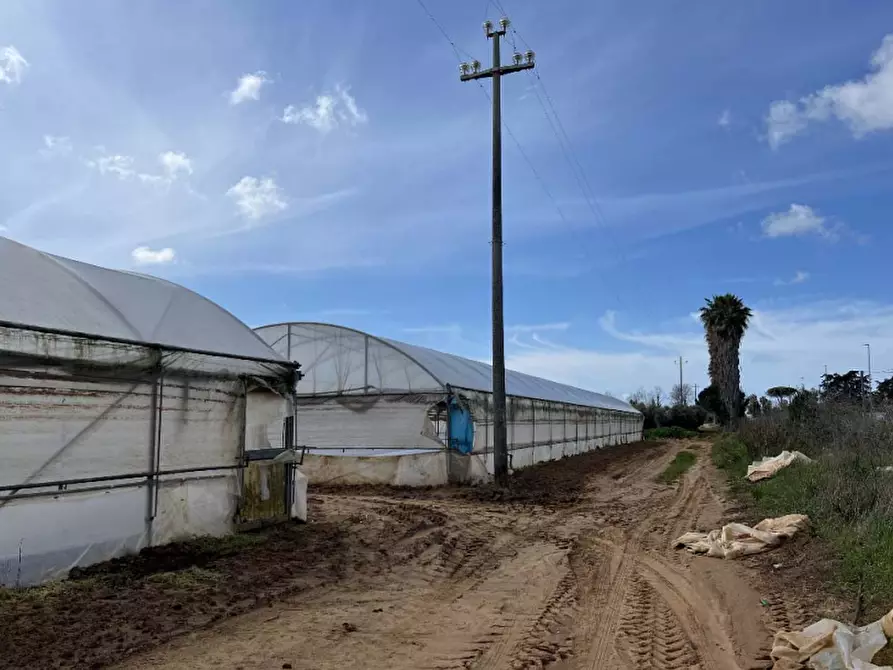 Immagine 3 di Terreno agricolo in vendita  in Via di Cavallo Morto a Anzio