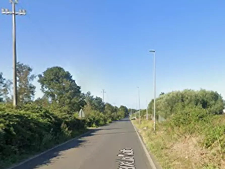 Immagine 15 di Terreno agricolo in vendita  in Via di Cavallo Morto a Anzio