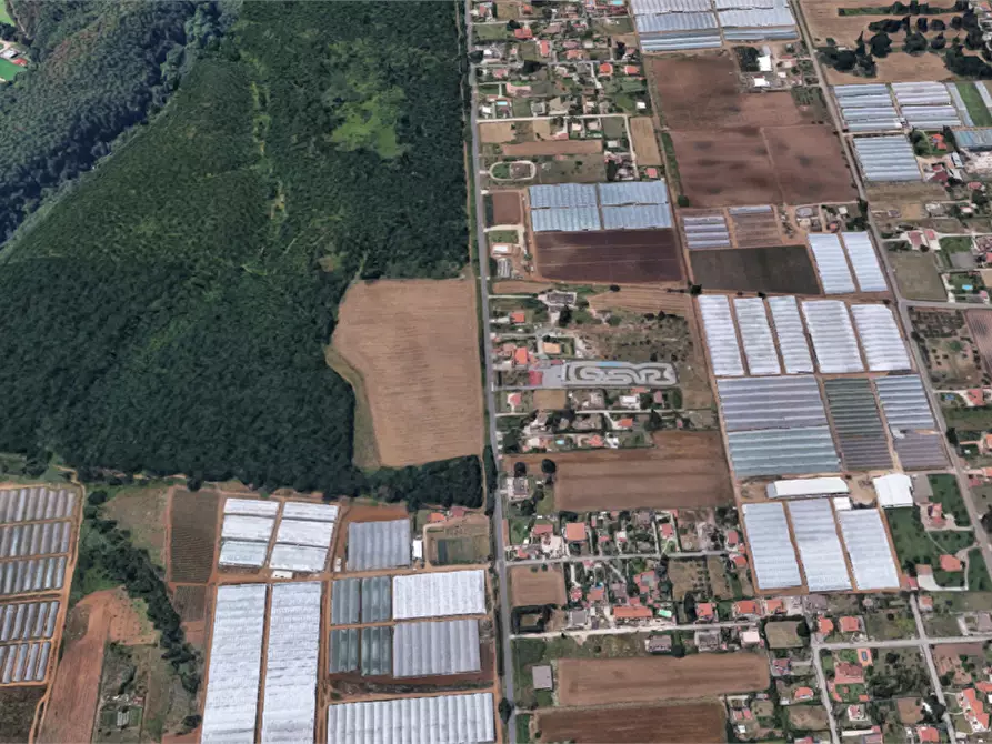 Immagine 18 di Terreno agricolo in vendita  in Via di Cavallo Morto a Anzio