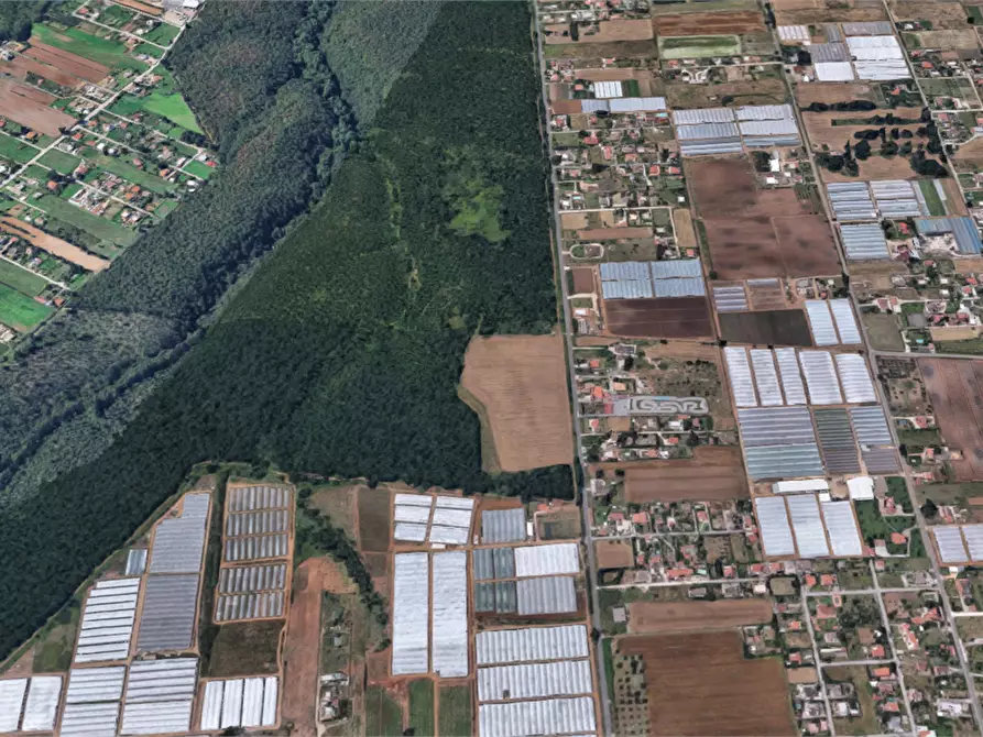 Immagine 19 di Terreno agricolo in vendita  in Via di Cavallo Morto a Anzio