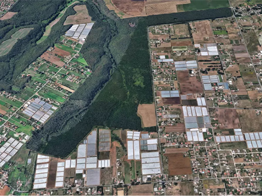 Immagine 20 di Terreno agricolo in vendita  in Via di Cavallo Morto a Anzio