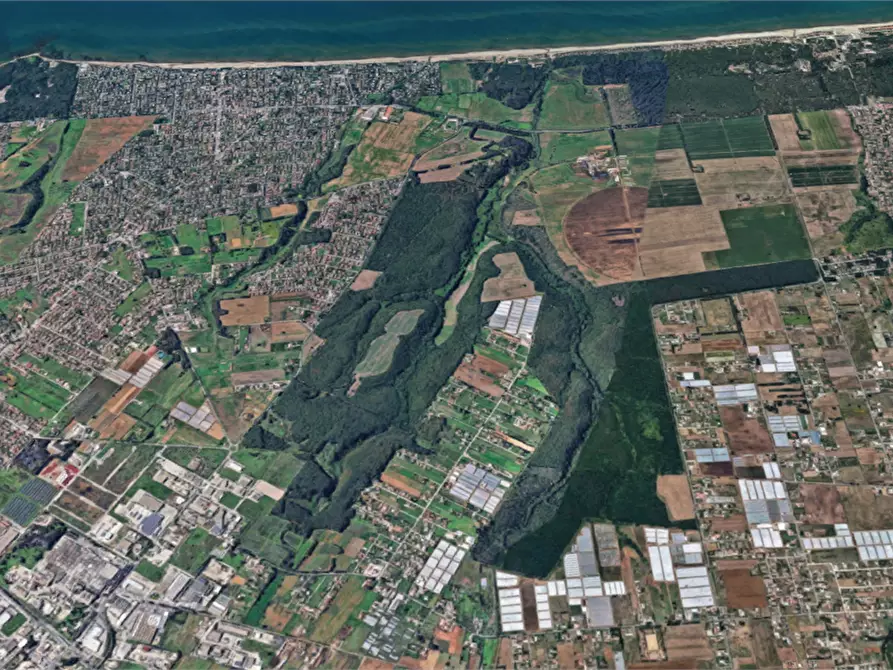 Immagine 21 di Terreno agricolo in vendita  in Via di Cavallo Morto a Anzio