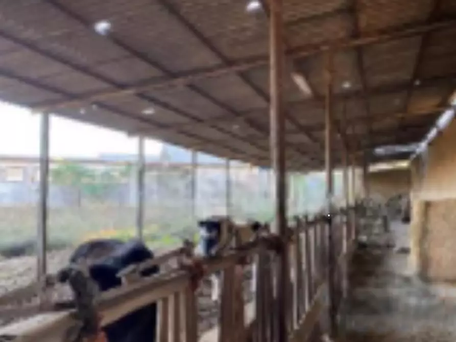 Immagine 10 di Stabile in vendita  in Via San Giacomo  a Rezzato