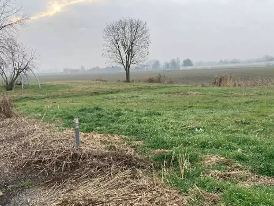 Immagine 1 di Terreno edificabile in vendita  in Via Ober Hilbersheim a Bonavigo