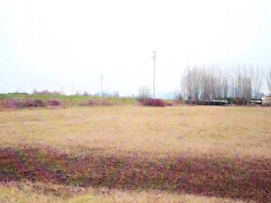 Immagine 6 di Terreno edificabile in vendita  in Località Vighizzolo d'Este a Vighizzolo D'este