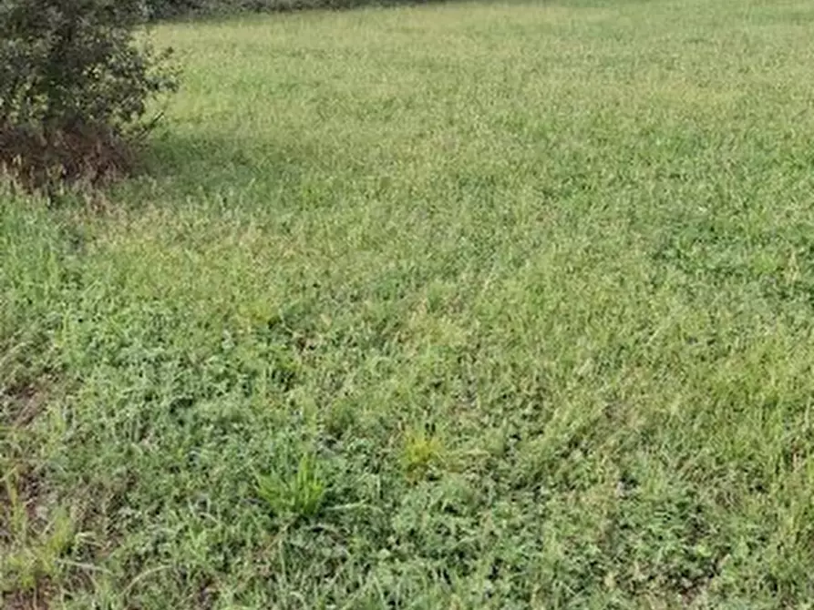 Immagine 1 di Terreno agricolo in vendita  in Frazione Cortereggio a San Giorgio Canavese
