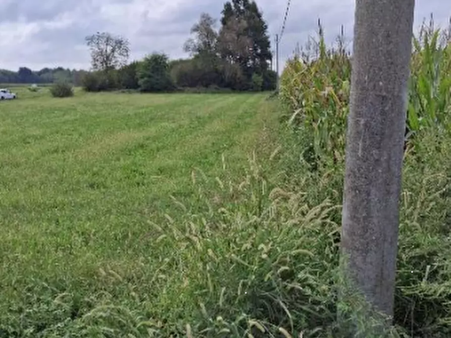 Immagine 2 di Terreno agricolo in vendita  in Frazione Cortereggio a San Giorgio Canavese