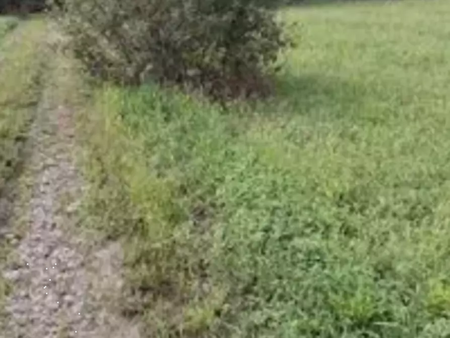 Immagine 4 di Terreno agricolo in vendita  in Frazione Cortereggio a San Giorgio Canavese