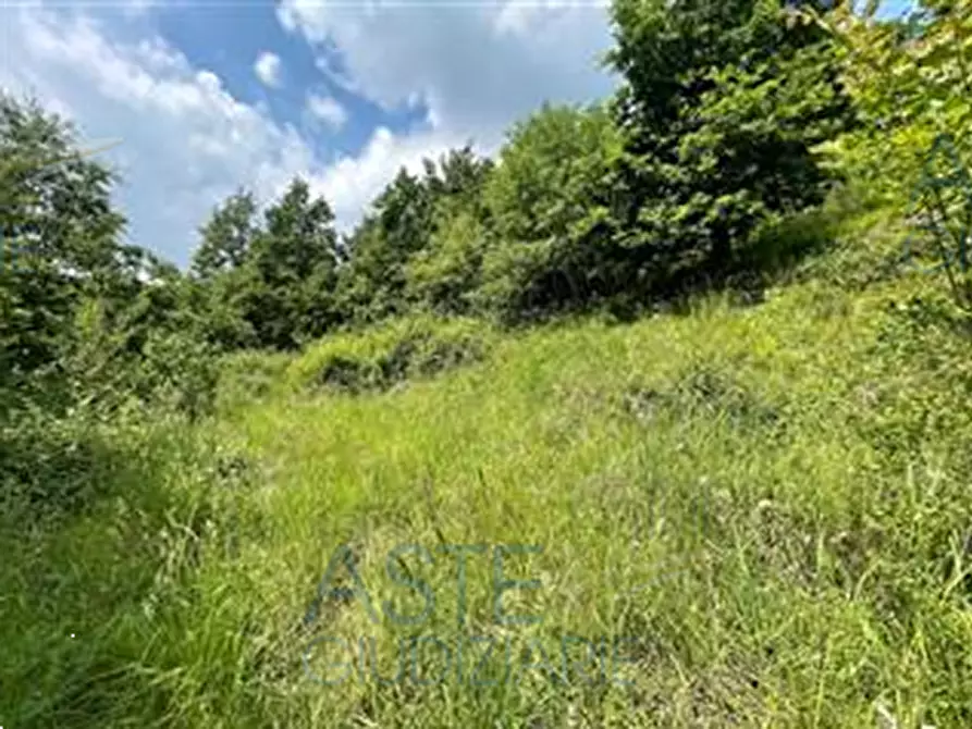Immagine 1 di Terreno agricolo in vendita  in Località Ruk a Mura